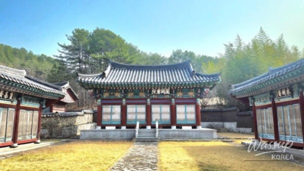 Discover the Spring Wonders of Ulsan: Migratory Bird Travel Bus_02