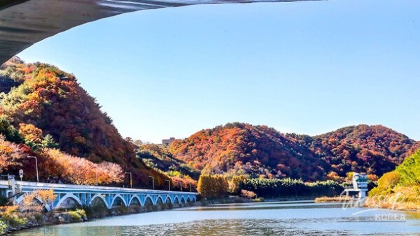 Discover the Spring Wonders of Ulsan: Migratory Bird Travel Bus_04