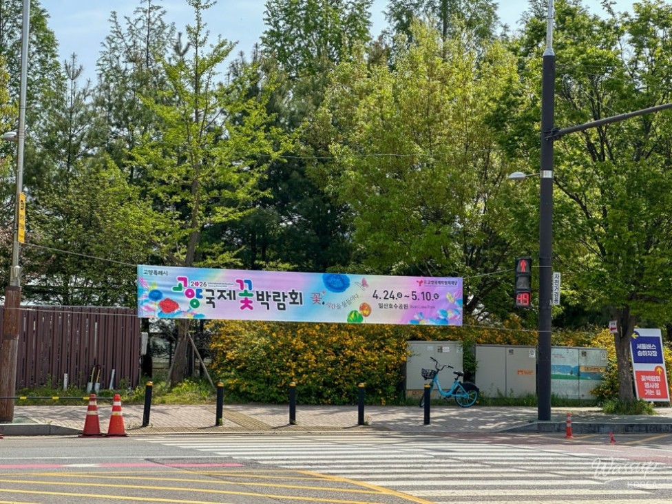 2026 Goyang International Flower Festival: A Family-Friendly Guide_03