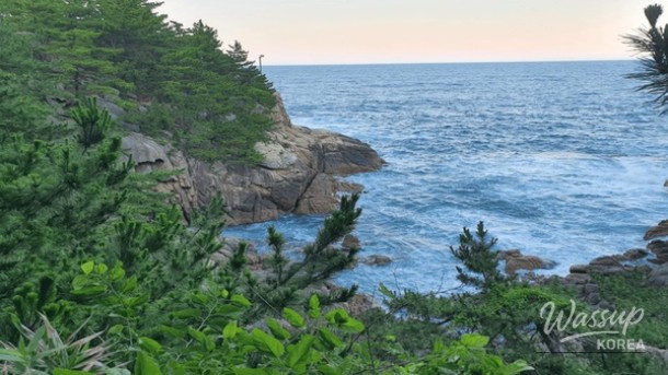 Best Spring Beach Destinations in Korea_02