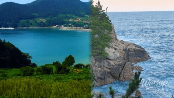 Best Spring Beach Destinations in Korea_01