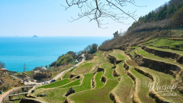 Exploring the Beauty of Darangi Village in April_02