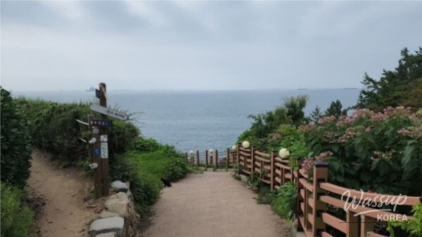 Exploring the Beauty of Darangi Village in April_03