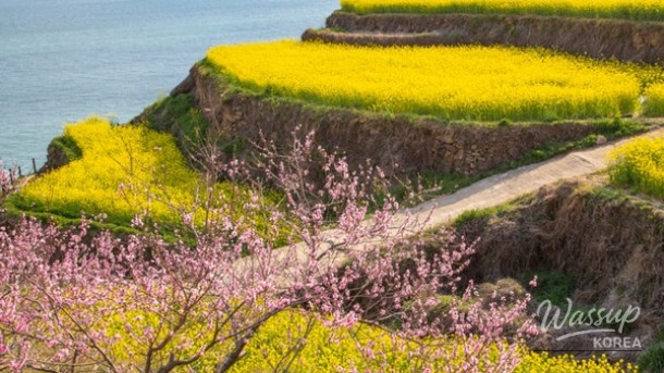 Exploring the Beauty of Darangi Village in April_01