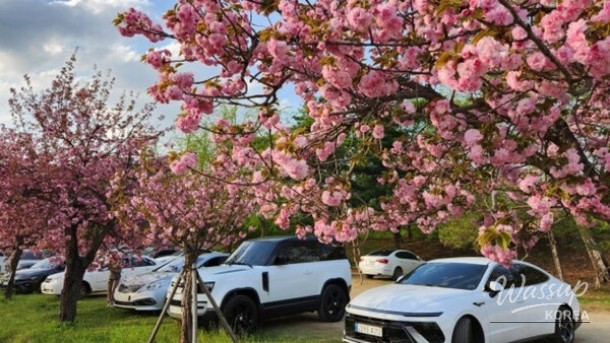 Discover the Beauty of Misakgyeongjeong Park in Spring_05