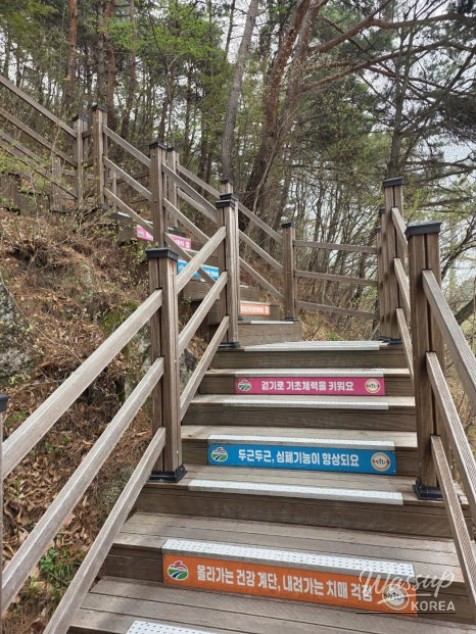 Exploring the SuSungdae Suspension Bridge in Geochang_09