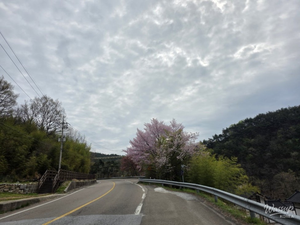 Exploring the SuSungdae Suspension Bridge in Geochang_03