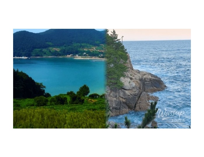 Best Spring Beach Destinations in Korea float