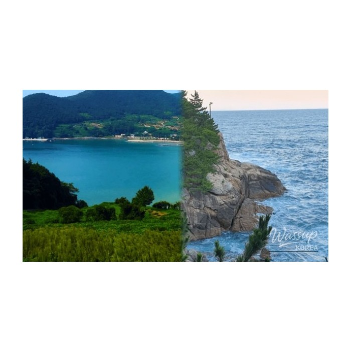 Best Spring Beach Destinations in Korea3439