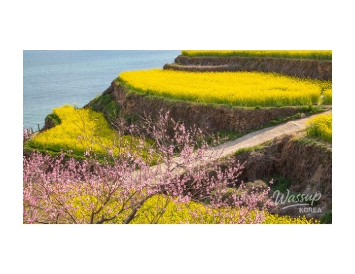 Exploring the Beauty of Darangi Village in April float