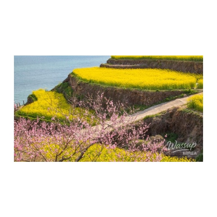 Exploring the Beauty of Darangi Village in April3440