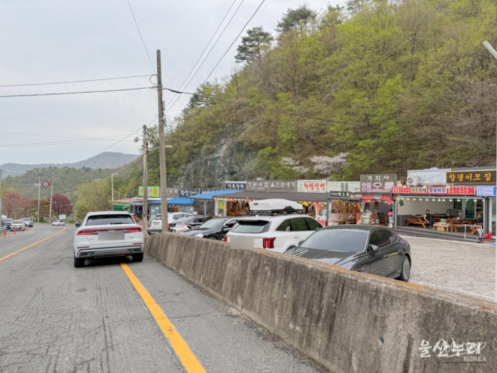Spring Hiking Adventure at Gajisan Mountain_02