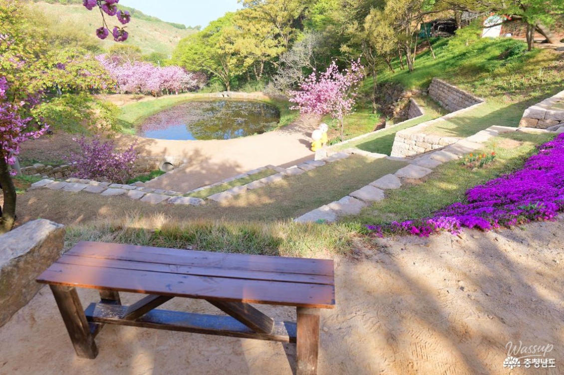 Exploring the Cherry Blossom Tunnel at Munsoosa Temple_11