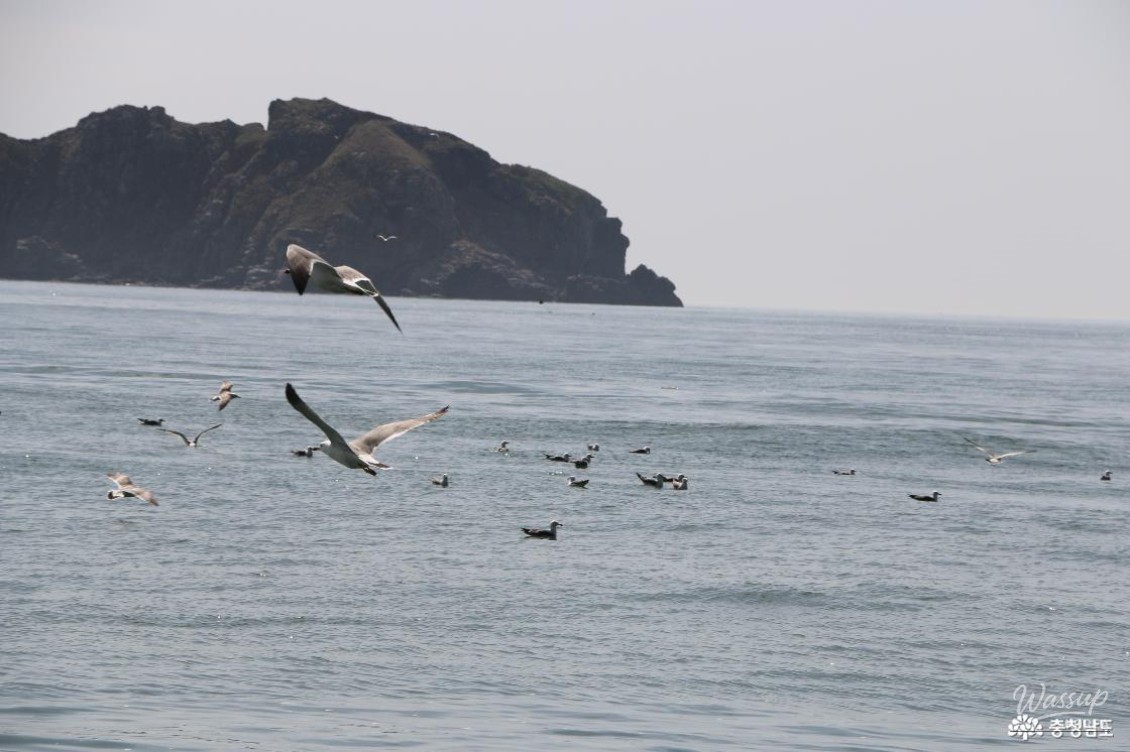 Exploring the Ecological Value of Gyeongryulbiyeoldo_11