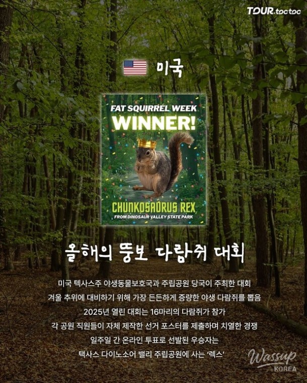 Top 7 Unique Competitions Around the World in 2026_03