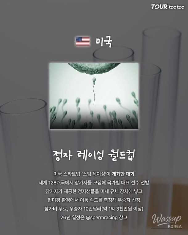 Top 7 Unique Competitions Around the World in 2026_05