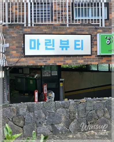 A Healing Journey in Jeju: Exploring Seogwipo_10