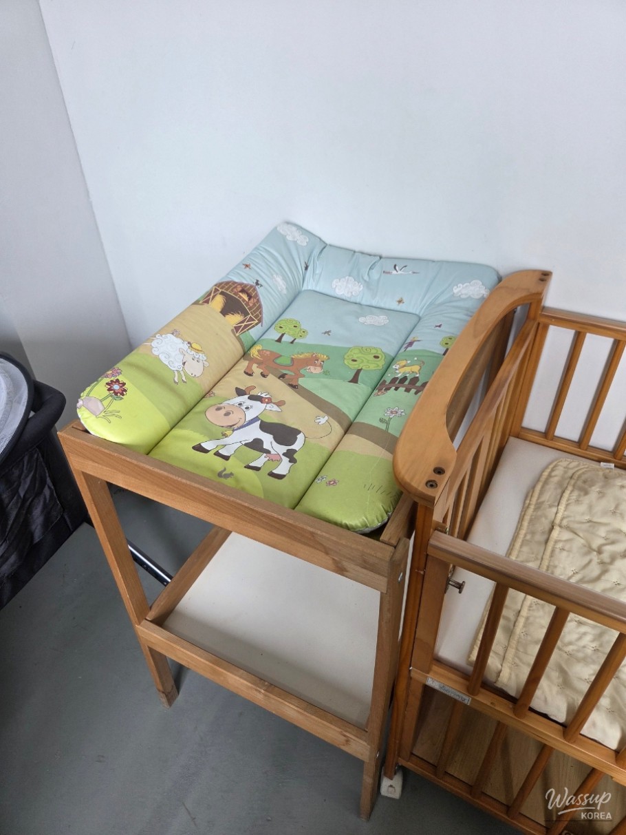 Exploring the 2026 Taean World Tulip Flower Expo_06