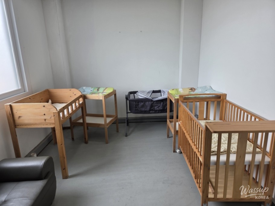 Exploring the 2026 Taean World Tulip Flower Expo_05