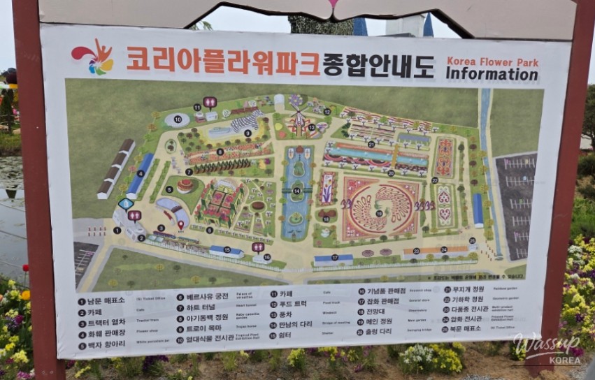 Exploring the 2026 Taean World Tulip Flower Expo_03