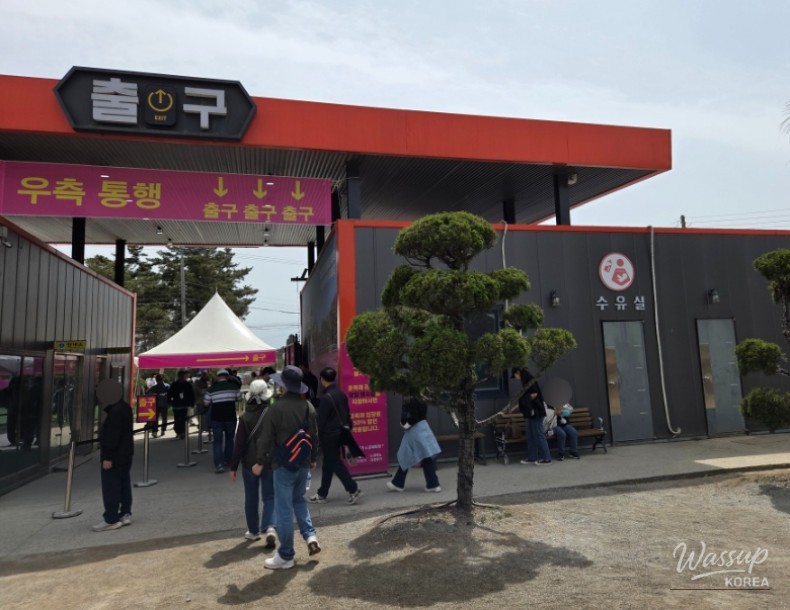 Exploring the 2026 Taean World Tulip Flower Expo_04