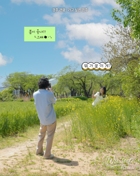 Explore the Beautiful Canola Flowers at Gyeongju Bunhwangsa_03