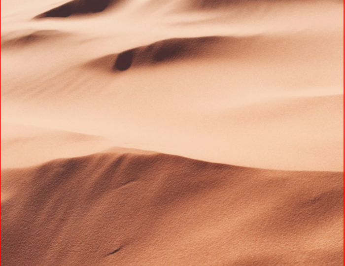 Smart Shopping Tips for Solo Shoppers at Costco float