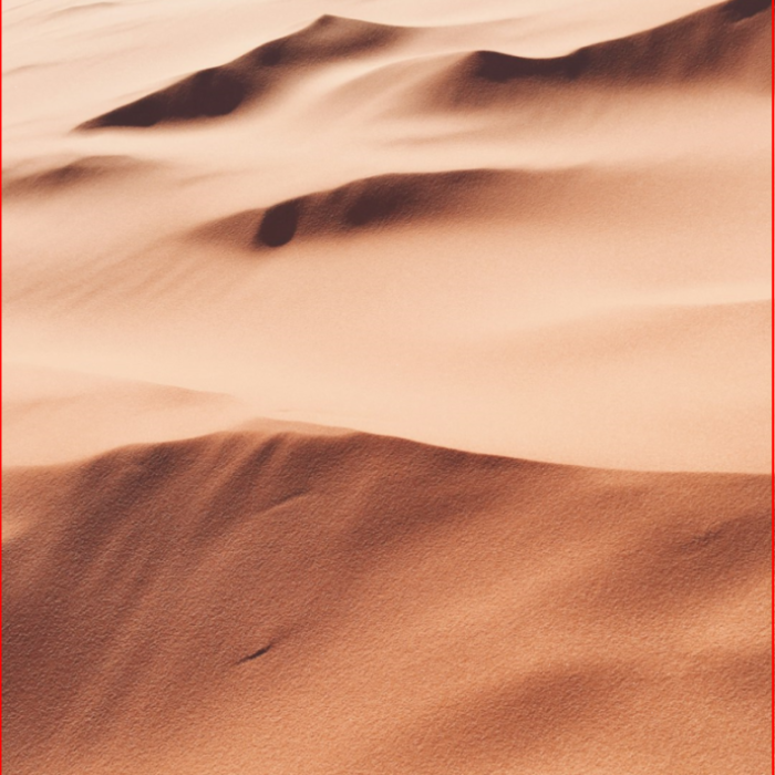 Smart Shopping Tips for Solo Shoppers at Costco2157