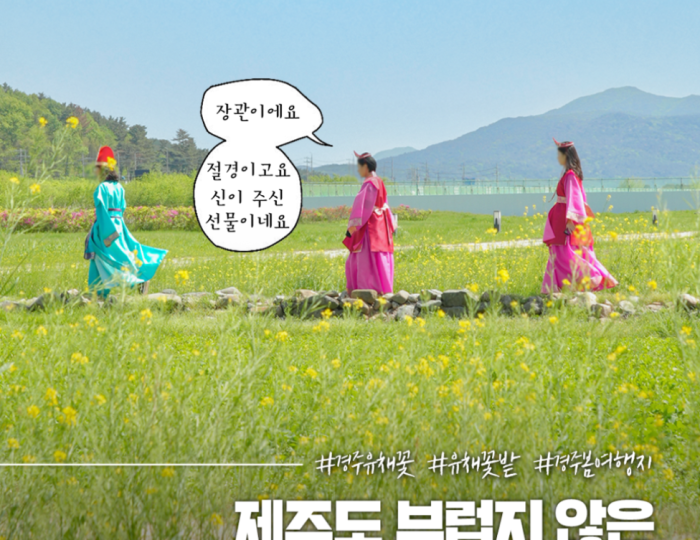 Explore the Beautiful Canola Flowers at Gyeongju Bunhwangsa float
