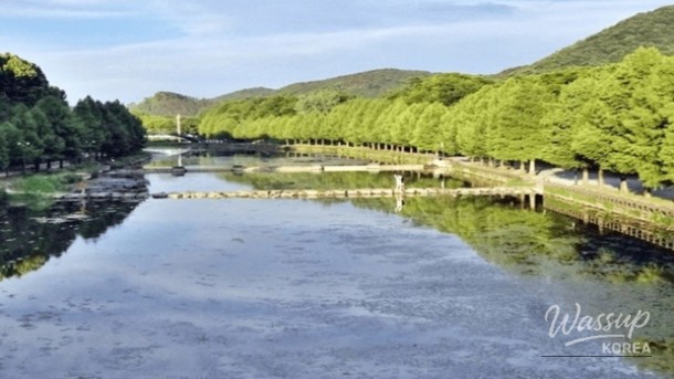 Best Bicycle Routes for Spring Riding in Korea_04