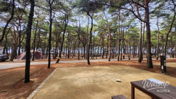 Discover the Hidden Charms of Byeonsanbando National Park_03