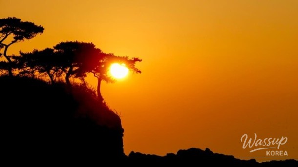 Discover the Hidden Charms of Byeonsanbando National Park_01