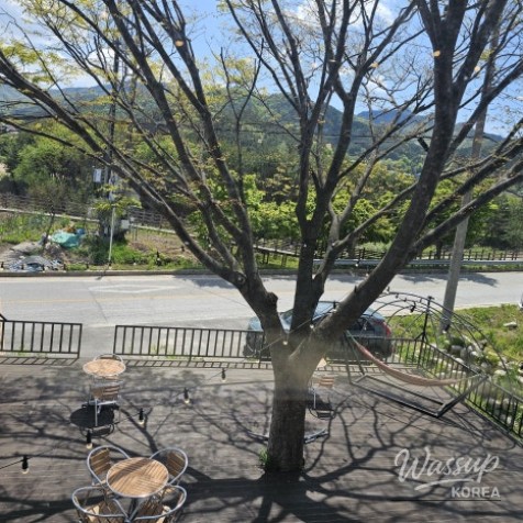 A Unique Café Experience in the Countryside_05