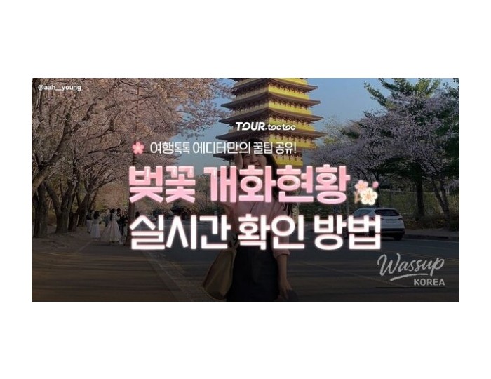 How to Check Cherry Blossom Blooming Status in Real-Time for 2026 float