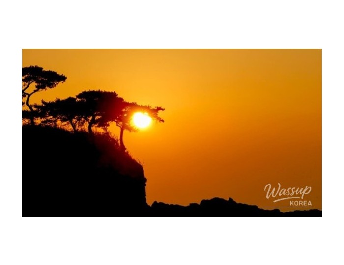 Discover the Hidden Charms of Byeonsanbando National Park float