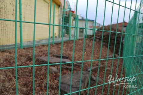 Exploring the Historic Chiwon Fortress in Hamann_05