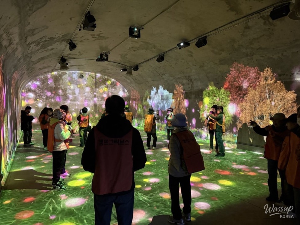 Embark on a Special Day Trip to the DMZ by Train!_05