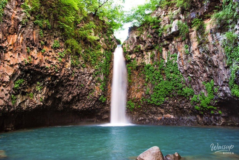 Embark on a Special Day Trip to the DMZ by Train!_03