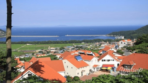 Top 4 Exotic Destinations in Korea to Visit in April_04