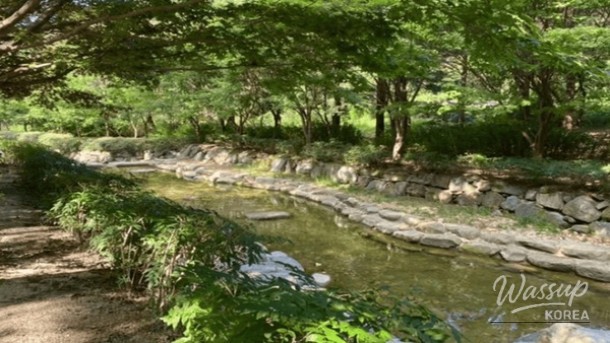 Top 4 Exotic Destinations in Korea to Visit in April_05