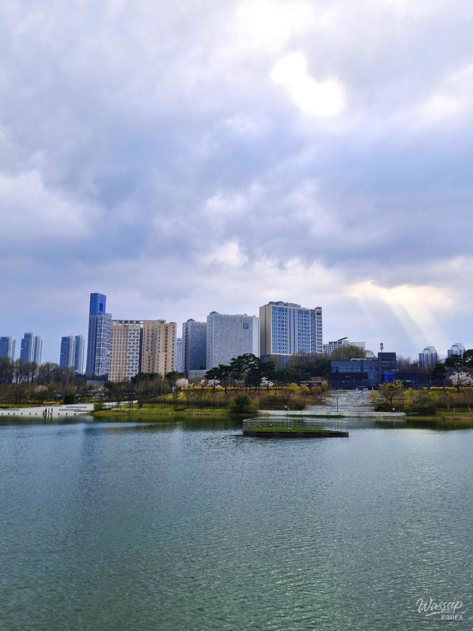 Cherry Blossom Season in April at Sejong Lake Park_06