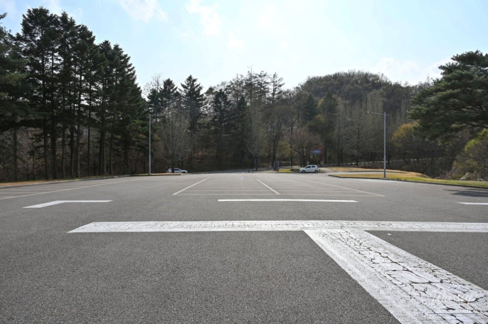 Hidden Cherry Blossom Spot: Gilsangsa Temple_02