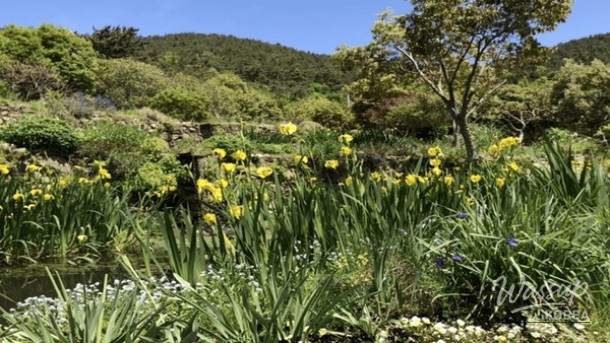 Discovering the Charm of Namhae in Spring_03