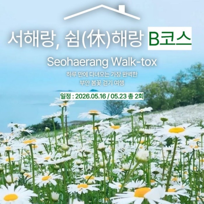 Join the Walking Tour Along the West Sea1166
