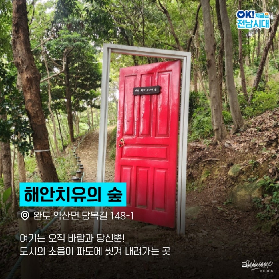 Discover the Beauty of Slow Travel in Wando_02