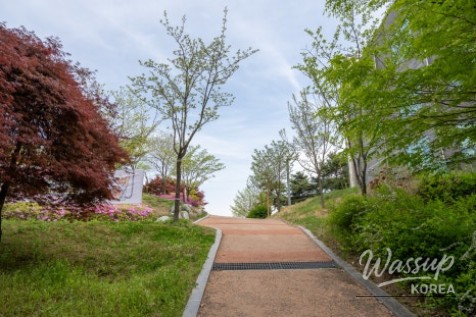 Exploring the Poetic World of Jo Myung-hee in Jincheon_10