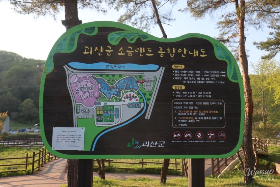 Exploring Goe-san: A Hidden Gem of Nature and Culture_02