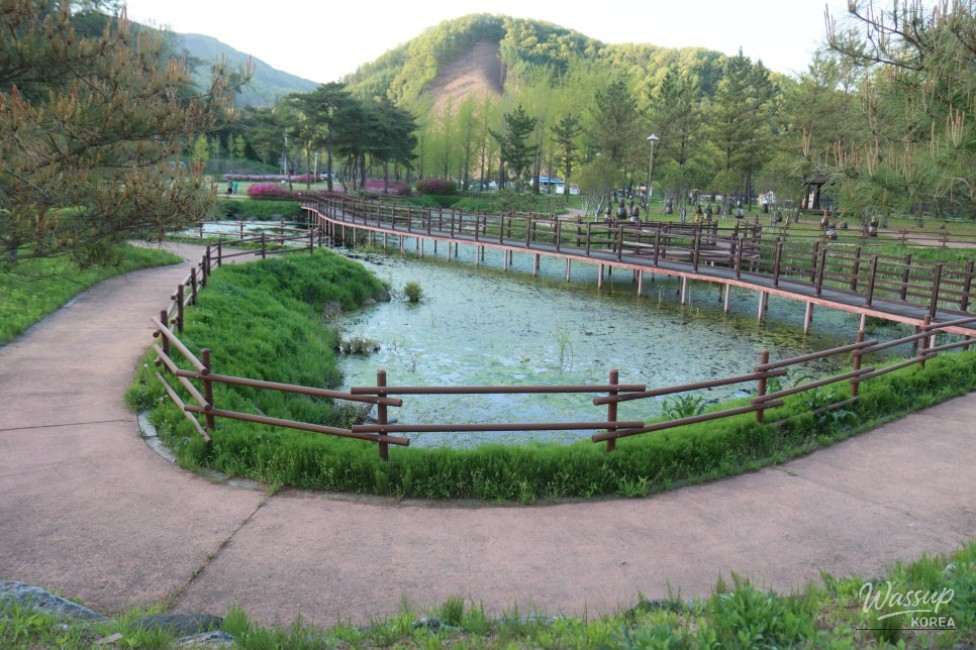 Exploring Goe-san: A Hidden Gem of Nature and Culture_05