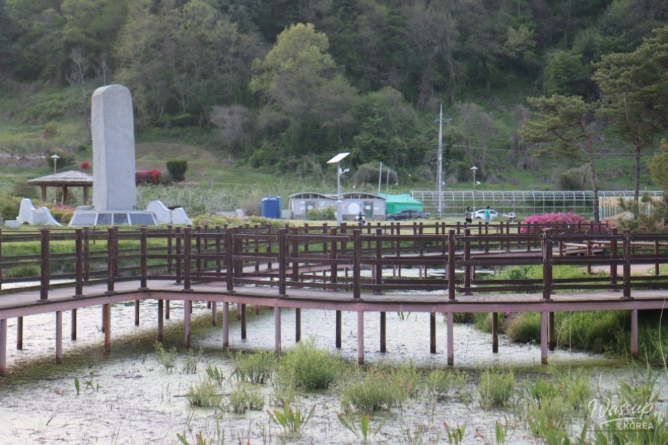 Exploring Goe-san: A Hidden Gem of Nature and Culture_04