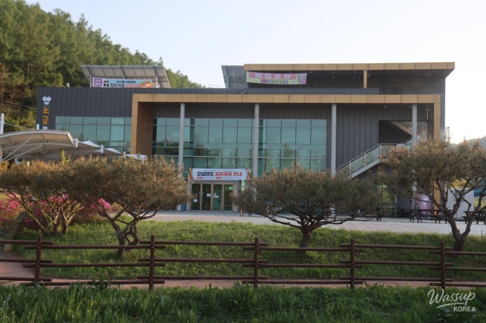 Exploring Goe-san: A Hidden Gem of Nature and Culture_03